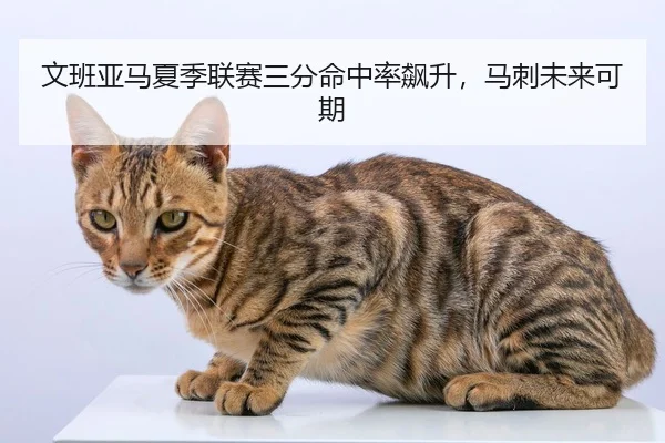 文班亚马夏季联赛三分命中率飙升，马刺未来可期