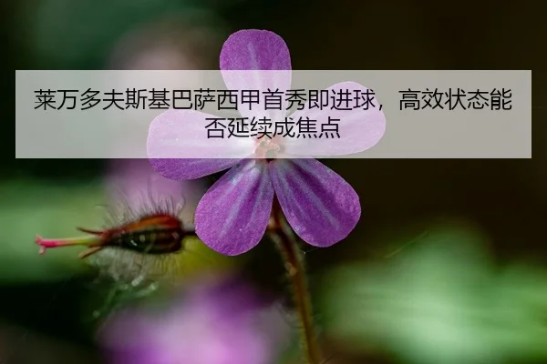 莱万多夫斯基巴萨西甲首秀即进球，高效状态能否延续成焦点