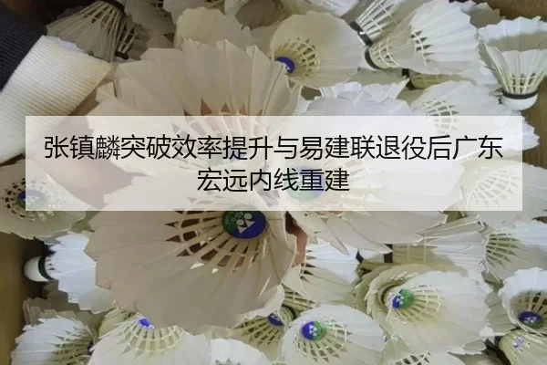 zhang-zhen-lin-tu-po-xiao-lv-ti-sheng-yu-yi-jian-lian-tui-yi-hou-guang-dong-hong-yuan-nei-xian-chong-jian-2-333.jpg